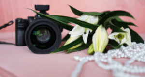 Seashell Cottages and Events